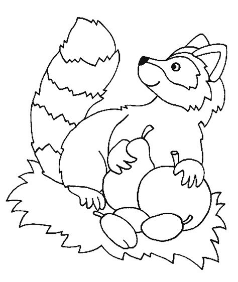 Raccoon Coloring Pages - Coloring Home