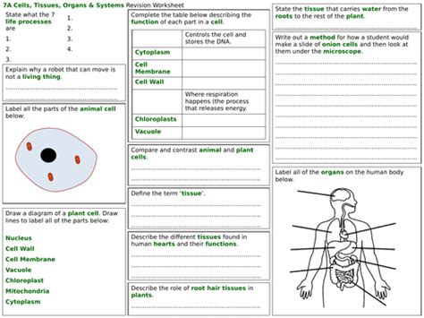 Exploring Science Year 7 Revision Worksheets Teaching Resources