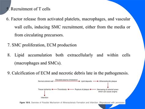 Pathophysiology Of Atherosclerosis Pptx