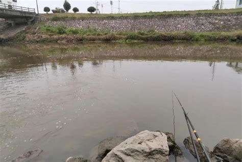 冬季釣魚，魚躲在深水，兩個方法教你找到魚窩，連杆釣斤鯽 頭條匯