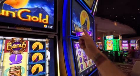 What Are the Different Types of Slot Machines Available - Alt Gov