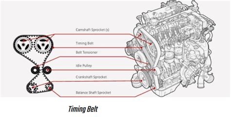 Understanding The Difference Between A Serpentine Belt Vs Timing Belt