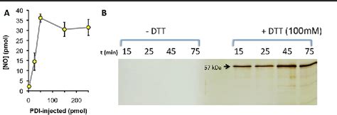 Figure From Gold Nanoparticle Enrichment Method For Identifying S