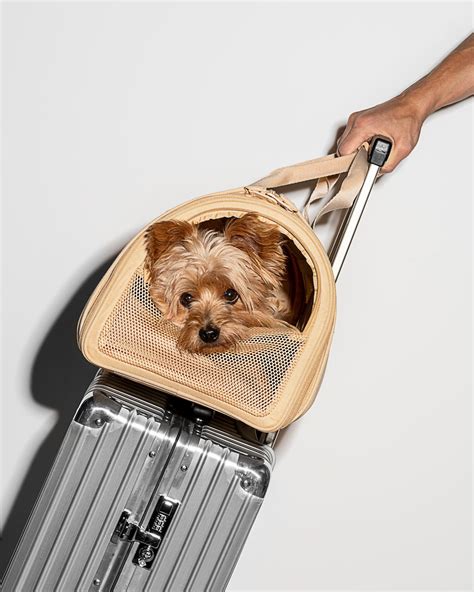 Wild One Airline Approved Pet Dog Carrier Travel Safe