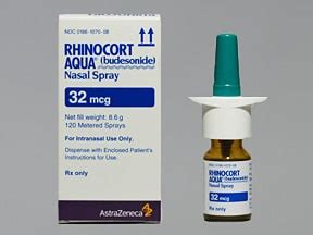 Rhinocort Aqua Nasal Uses Side Effects Interactions Pictures