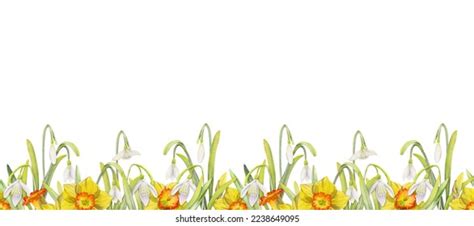 Snowdrop Border Images Stock Photos Vectors Shutterstock