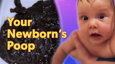 Why Does my Newborn’s Poop Look Like That? | Parentalogic