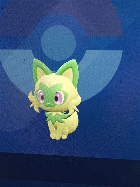 [9] Got a shiny weedcat after 162 eggs! : r/ShinyPokemon