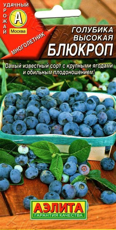Купить семена деревьев и кустарников в интернет магазине - большой выбор