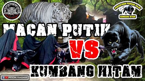 Macan Kumbang Hitam - Populer Gambar Macan Kumbang Hitam, Terpanas ...