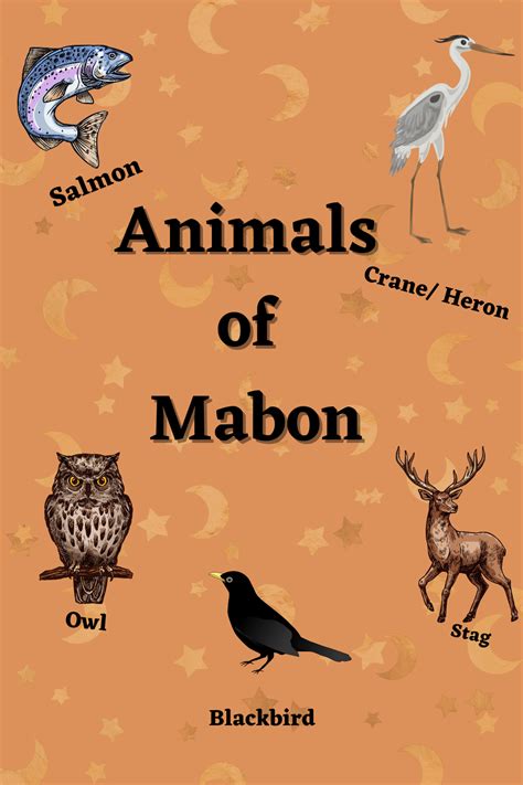 Mabon Correspondence The Magic Of The Autumn Equinox Artofit