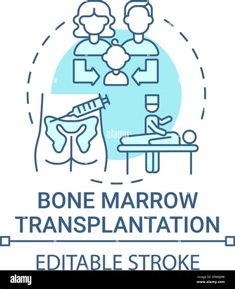 Bone Marrow Disease Stock Vector Images Alamy