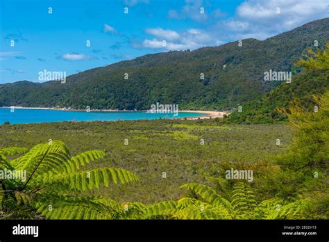 Aerial View Of Onetahuti Beach At Abel Tasman National Park In New