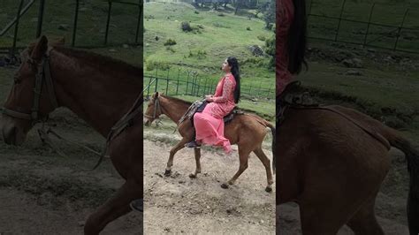 Honeymoon Trip To Kashmir Pony Ride To Aru Valley Pahalgam Happy And