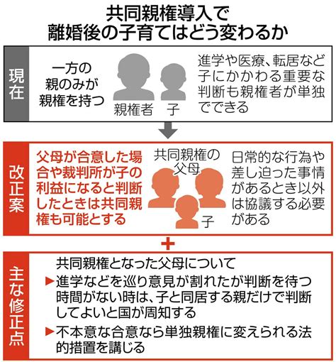 離婚後の「共同親権」子どもに不利益が及びかねない「懸念」とは 民法改正案が衆院委で可決：東京新聞デジタル