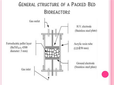 Bioreactors Or Fermenters Ppt