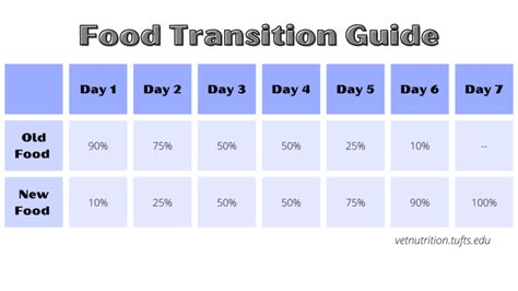 How to Transition Your Dog or Cat to New Food - Hollywood Feed University