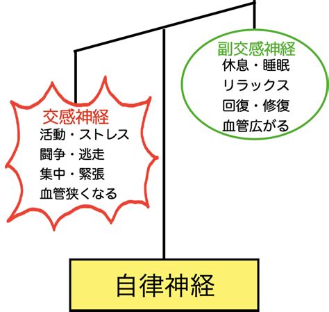 自律神経失調症 整体 武蔵小金井 カラダケア整体院