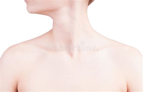 Woman S Neck And Shoulders Stock Image Image Of Nature