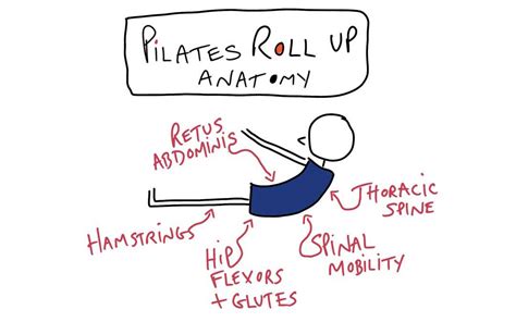 Anatomy Of The Perfect Pilates Roll Up Exercise Tips And Tricks