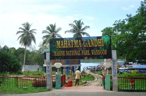 Beauty of Mahatma Gandhi Marine National Park - Indiano Travel