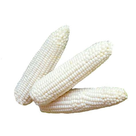 order organic corn   easy home cook meals