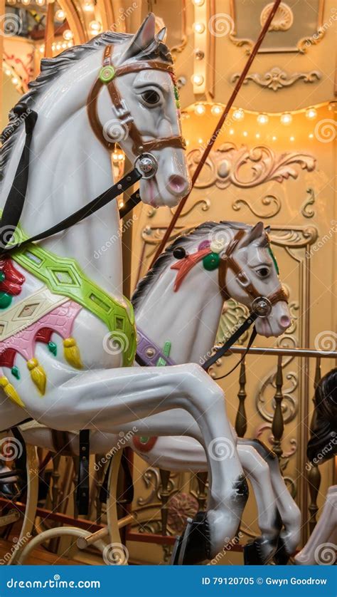 White Carousel Horses Stock Image Image Of White Prancing 79120705