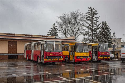 Fotogaleria Transportowa Ikarus 260 04 289