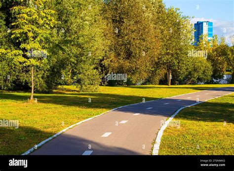 Empty Bike Path With Markings In The City Park Two Way Bike Lane Stock