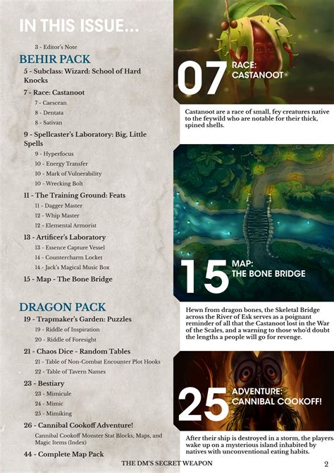 SOLUTION: Dms secret weapon magazine issue 1 - Studypool