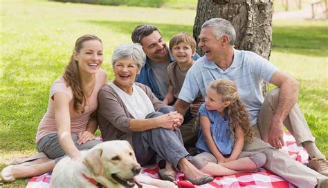 Mejora La Convivencia En Tu Familia Revista Pediatr A Y Familia