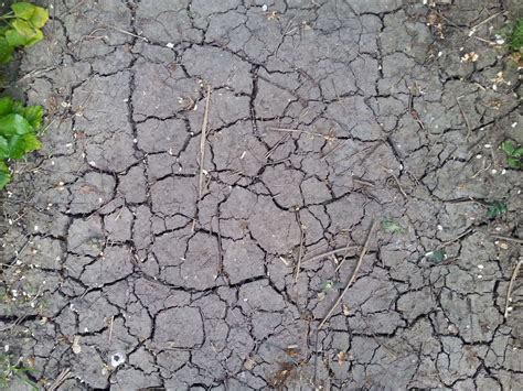 Driest February in 30 years prompts Environment Agency to ask people to ...