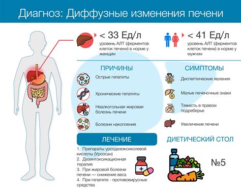 Диффузные изменения печени на УЗИ: симптомы, лечение, прогноз ВСЕ О ...