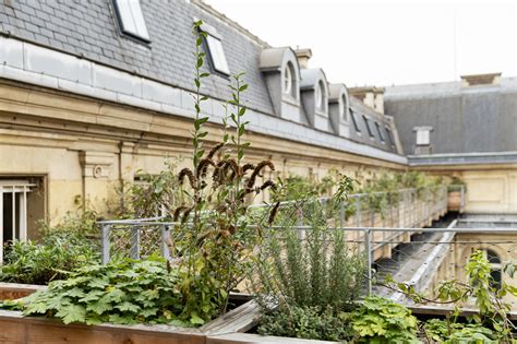 Plan Local D Urbanisme Bioclimatique Vers Un Paris Ville De Paris