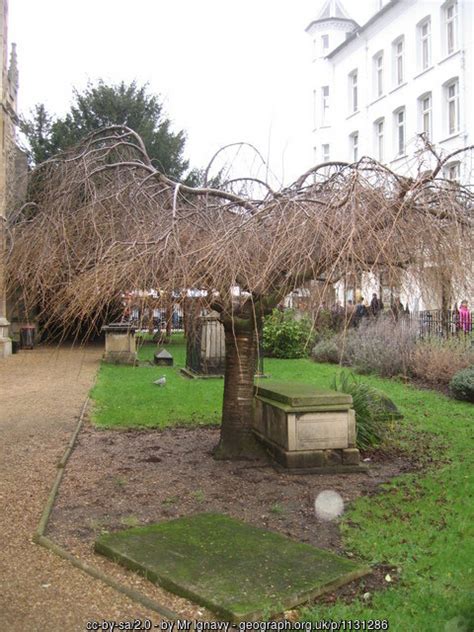 Tombs Besides Great St Mary S Mr Ignavy Cc By Sa 2 0 Geograph