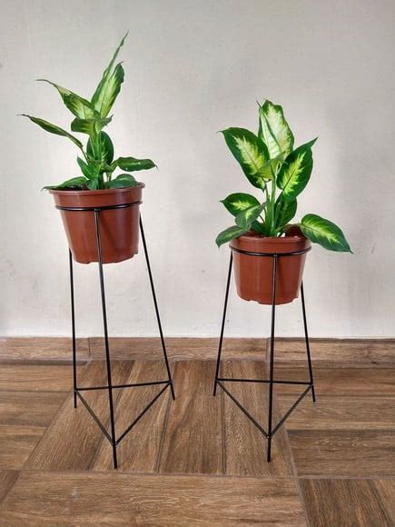 Par De Tripé Suporte Para Vasos De Plantas Elo7