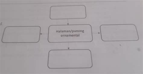 Punan Ang Diagram Ng Mga Halimbawa Ng Halamang Punong Ornamental