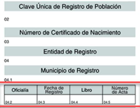Libro De Actas De Nacimiento Tu Acta De Nacimiento