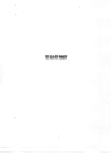 Sylvan Esso: No Rules Sandy - Public-Library