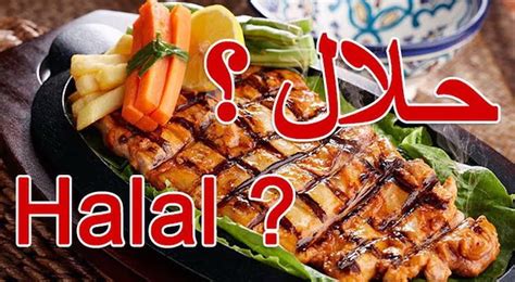 Info Terbaru Rekomendasi Tempat Kuliner Halal Pontianak