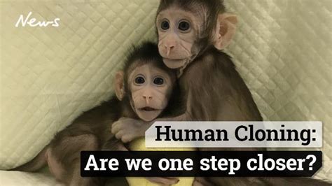 Chinese scientists behind cloned monkey breakthrough are just getting started | news.com.au ...