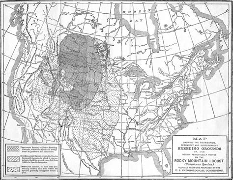 Rocky Mountain locust historic range map - Entomology Today