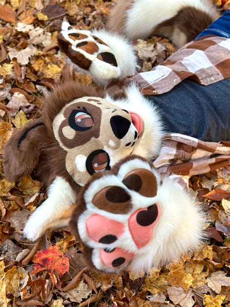 Chai The Australian Shepherd New Fursuit Partial Ready To Ship And Wear