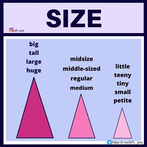 Some basic words to... - Ana Arias↔English Lan. Teacher 