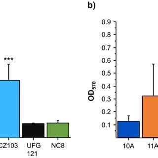 The CFS from the tested L plantarum strains modulate TNF α and IL 8