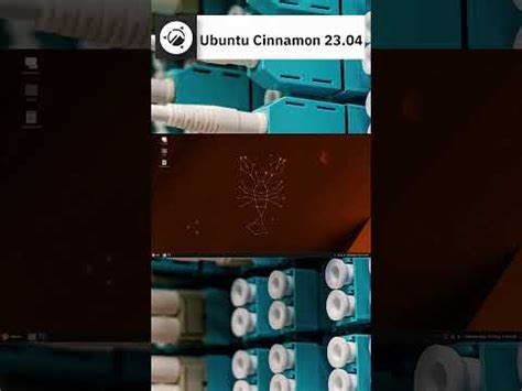 Ubuntu Cinnamon Overview Shorts Linux Punx