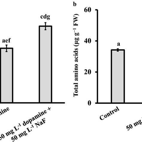 Effect Of Seed Priming With Mg L Dopamine For H On The Levels