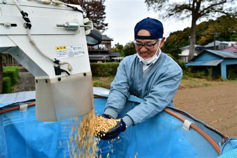 いるま野アグリで大豆の収穫最盛期を迎える（埼玉県富士見市） 農産物情報 Jaいるま野