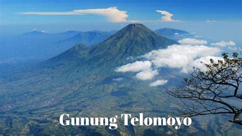 Telomoyo Magelang Negri Di Atas Awan Terbaru Wisata Alam