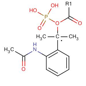 Phosphonic Acid Acetylamino Phenyl Methyl Dimethyl